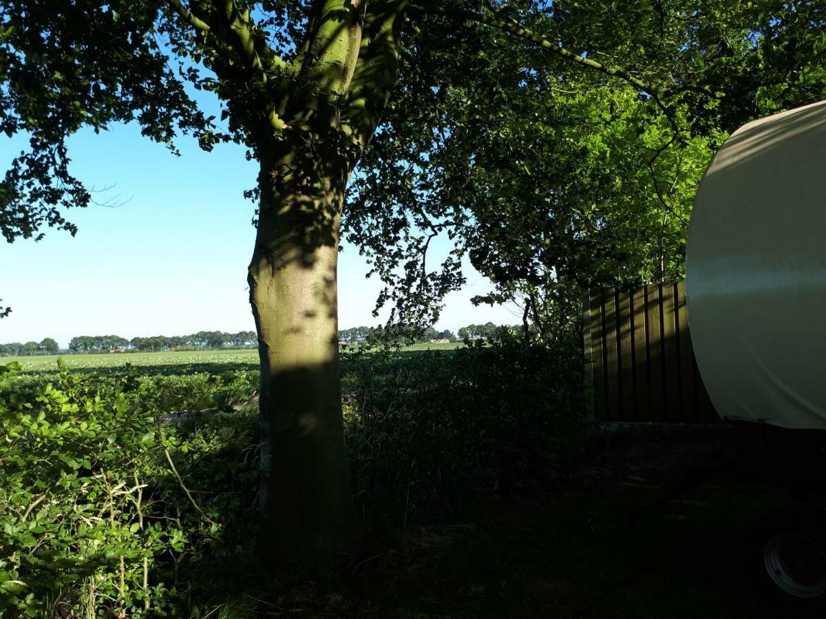 Irish Bowtop Op Het Platteland Van Huize Ouwervelden Wouwsche Plantage Exteriör bild